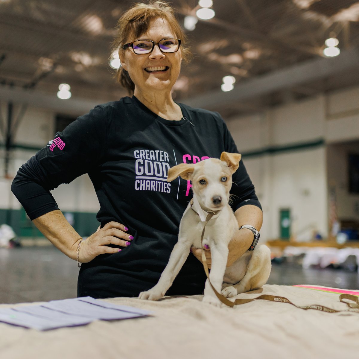 20230310_Oklahoma_Puppy_Sitting_on_Table_w_Person_©_GGC_Good_Fix-square