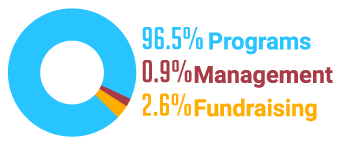 2023_ggc-footer-financials-pie