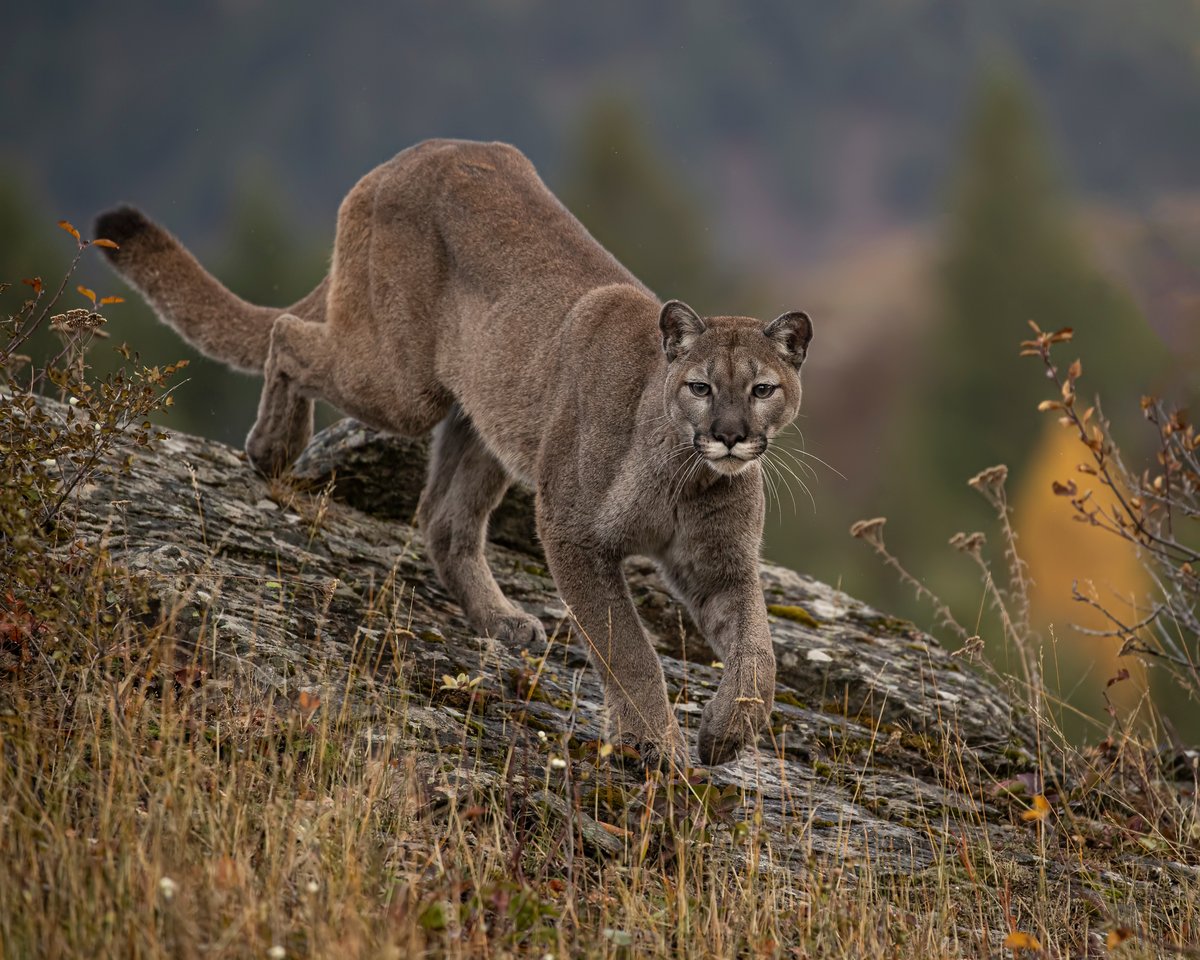 AdobeStock_306564626