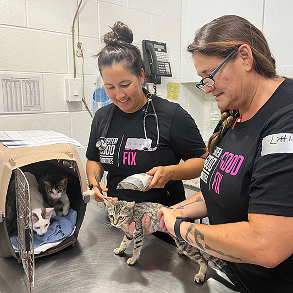 Give-Good-SpayNeuter