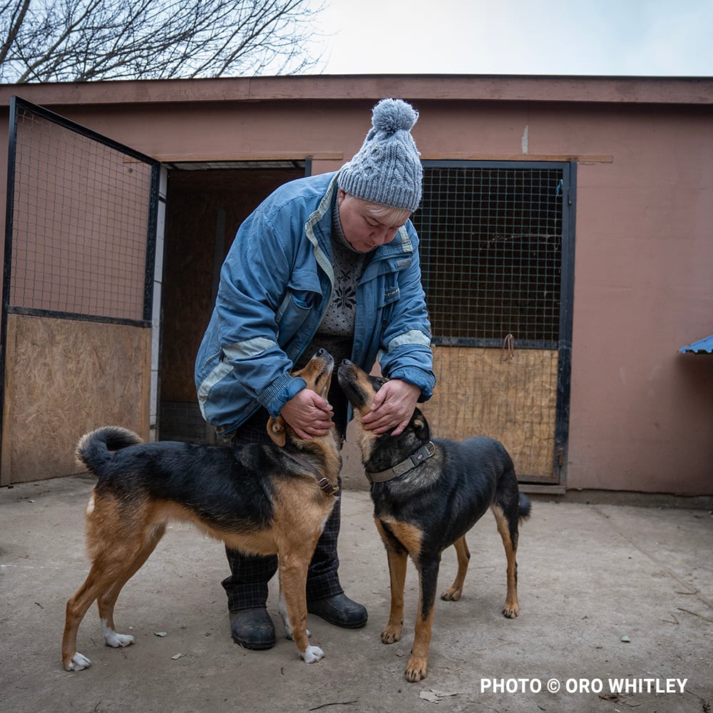 VS-Photograph_20231126_DRI_Chernihiv_049