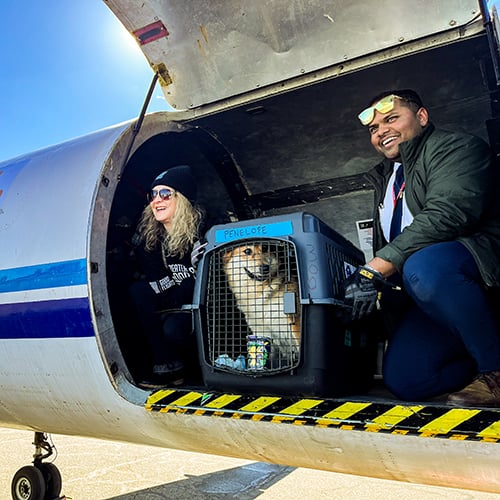 VS-Photograph_20240214_GFL-SAH_LA-NJ_Unloading_010_©GGC