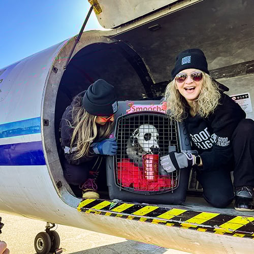 VS-Photograph_20240214_GFL-SAH_LA-NJ_Unloading_014_©GGC