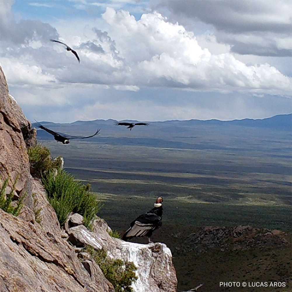 VS-Photograph_20240401_GDE_ArgetinaLandPurchase_001_©LucasAros