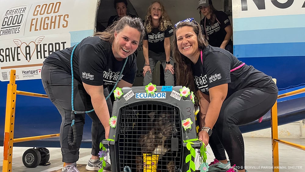 VS-Photograph_20240408_GFL-SAH_LA-NJ_Loading_029_©Iberville