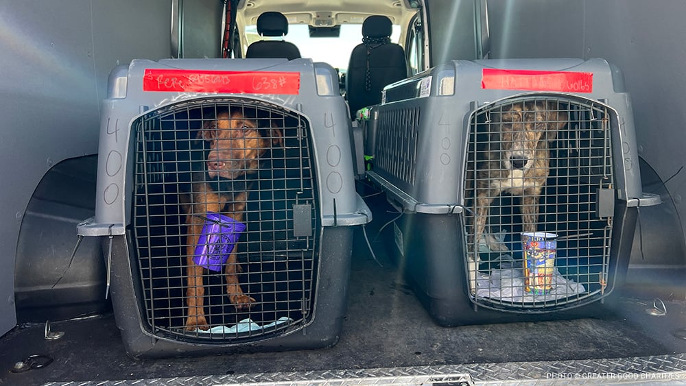 VS-Photograph_20240408_GFL-SAH_LA-NJ_Unloading_001_©GGC