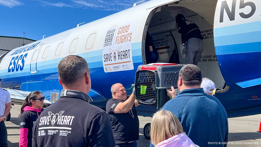 VS-Photograph_20240408_GFL-SAH_LA-NJ_Unloading_004_©GGC