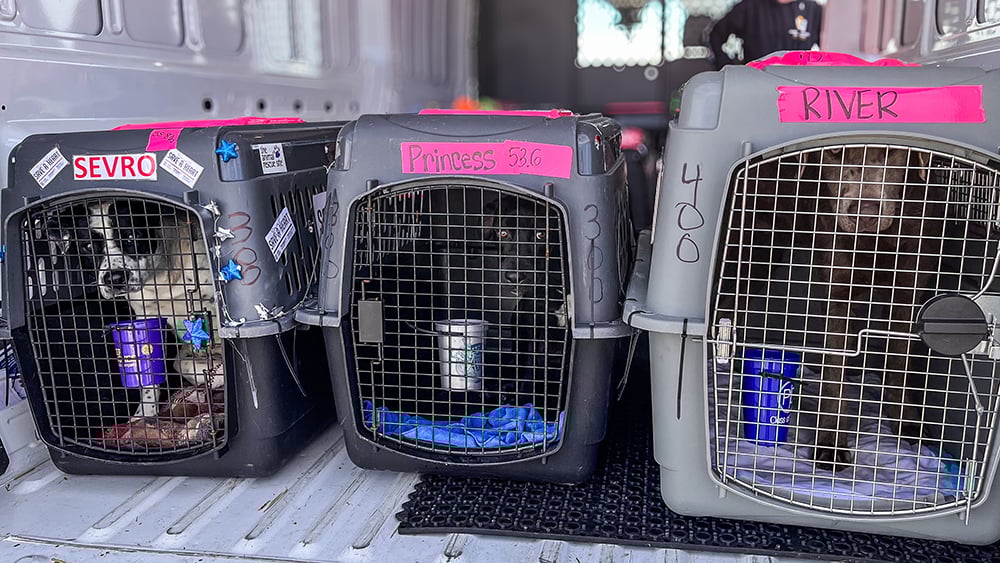 VS-Photograph_20240408_GFL-SAH_LA-NJ_Unloading_025_©GGC