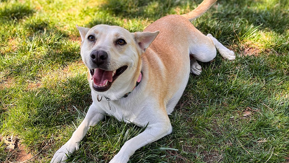 VS-Photograph_20240408_GFL-SAH_LA-NJ_Unloading_038_©GGC