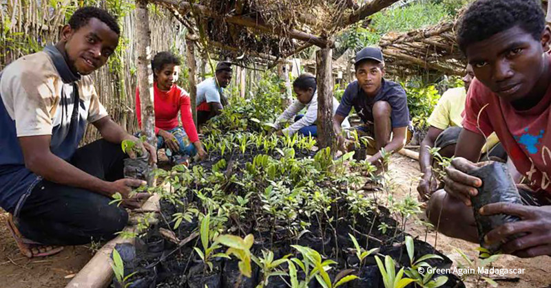 VS-Photograph_20241119_BC_NFWC_GAM_001_©GreenAgainMadagascar