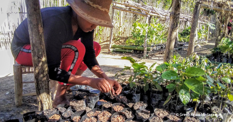 VS-Photograph_20241222_BC_NFWC_GAM_002_©GreenAgainMadagascar