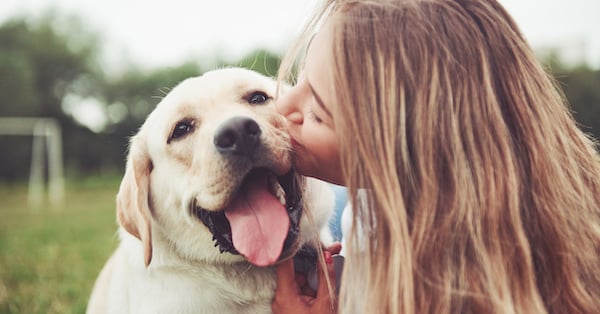 Strengthening the Human-Animal Bond: Everyday Ways to Care for Your Pet