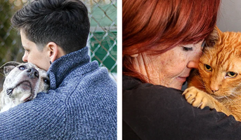 Why Pets Are Important to DV Survivors